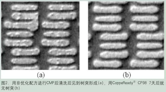 clip_image002 clip_image002